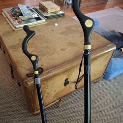  Posture Walking Canes