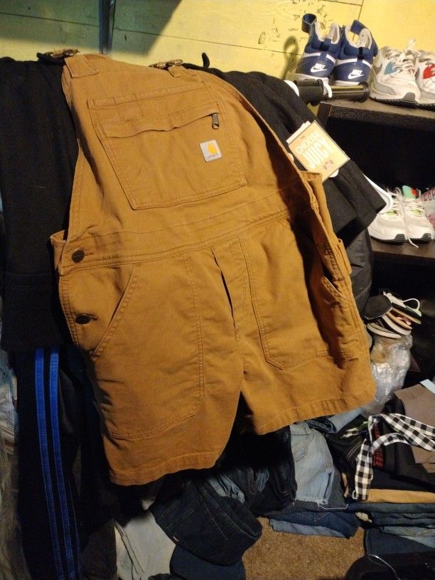 Carhartt Overall Shorts