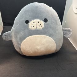 Squishmallow  Seal