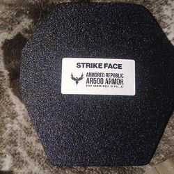 vest and ballistic plates