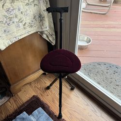 Walking Cane With Padded Seat 