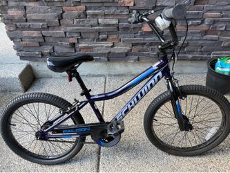 Schwinn Falcon 20” bicycle