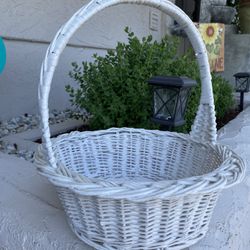 Braided White Wicker Basket