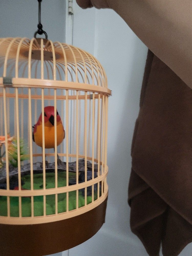 Bird Cage