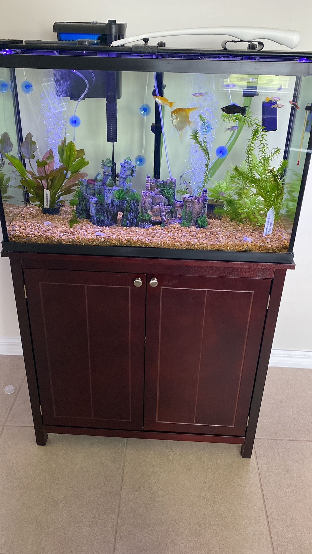 30 Gallon Fish Tank 