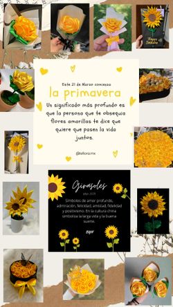 Flores Amarillas 🌻