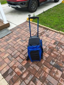 Ladies Bowling Carriage & Ball And Shoes