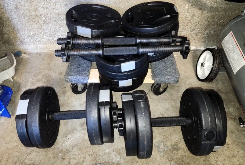 Brookstone Adjustable Dumbell Set