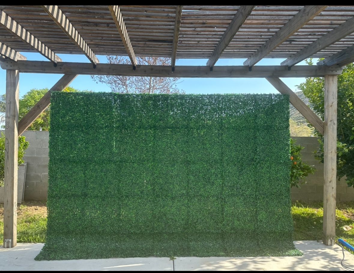 Backdrop