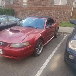 2003 Ford Mustang