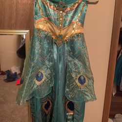 Princess Jasmine Halloween Costume 