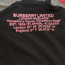 Burberry hoodie