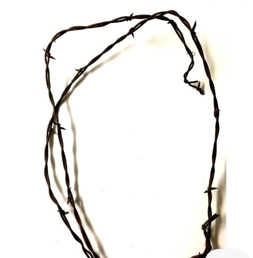 Free Barbed Wire 2-3ft Peuces For Crafts