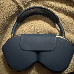 Apple Headphones 