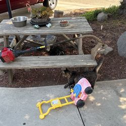 Craftsman Weed eater