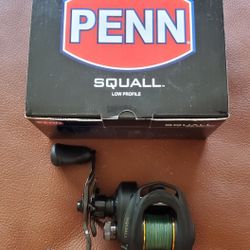 Penn Squall SQL300LPLH Baitcasting Fishing Reel - Left Hand for Sale in La  Habra Heights, CA - OfferUp