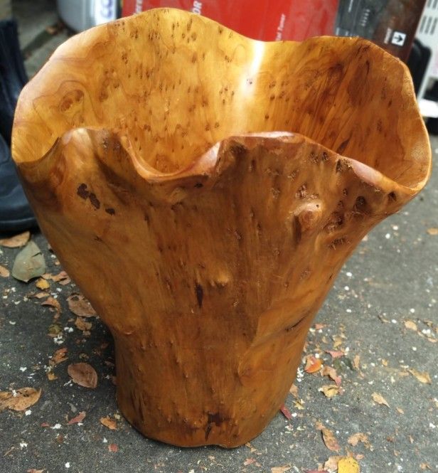 13" Hand Carved Wood 🪵 Tree Stump Vase