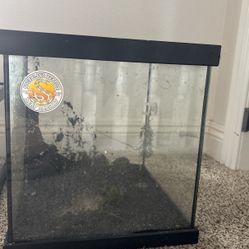 10 Gal Reptile/fishtank 