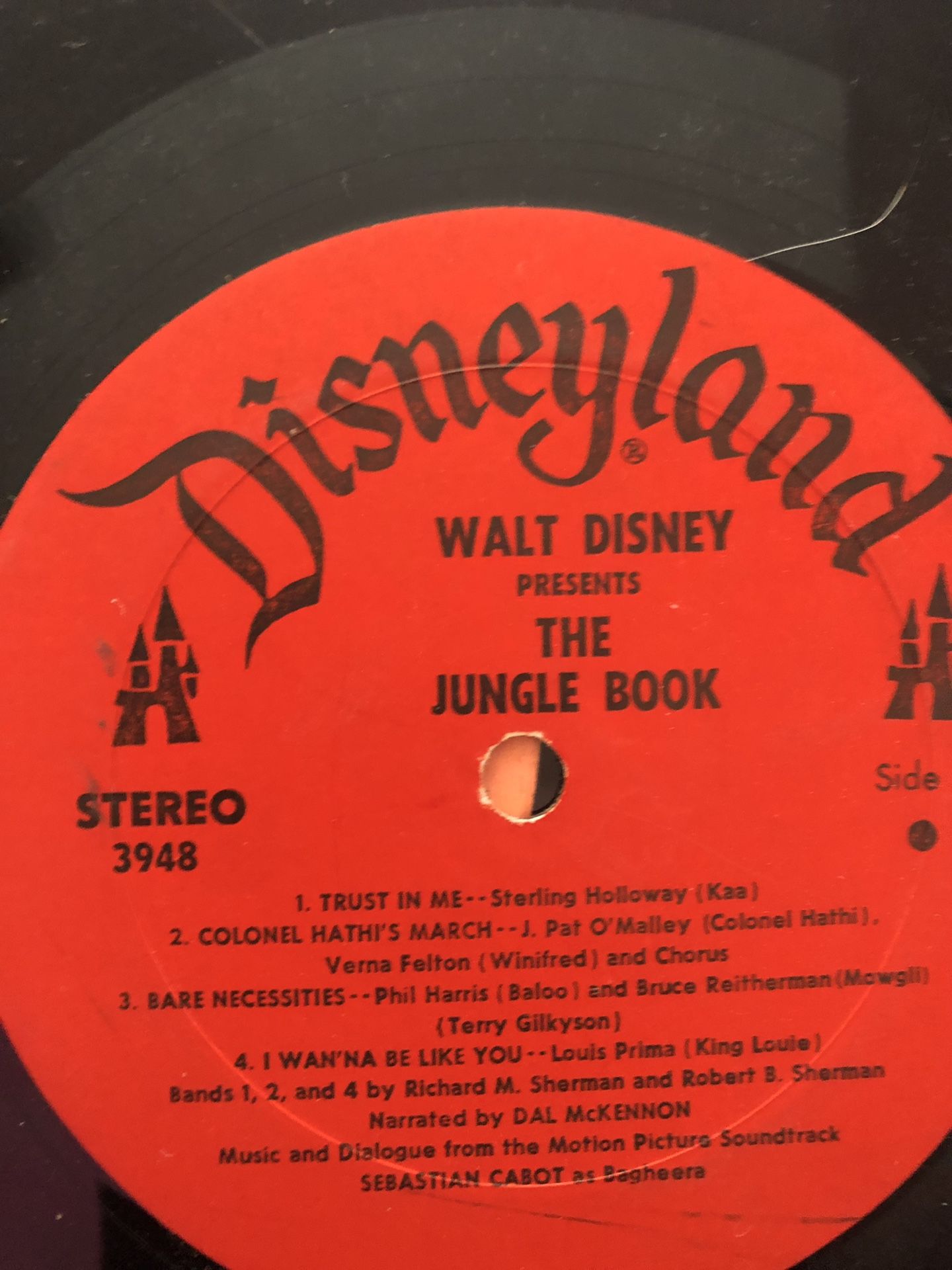 Storybook record Disney