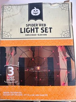 Halloween Spider Web Light Set