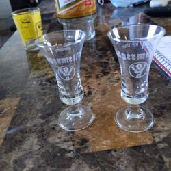 2 Shot Glasses