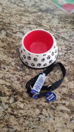 Pet bowl and collar