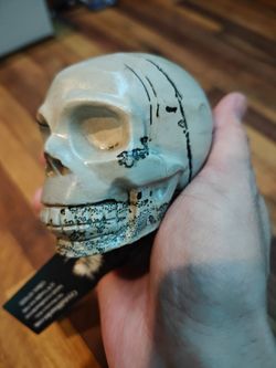 Rare Picture Jasper Skull with Dentritic formations