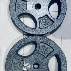 Platos De Ejercicio 25 Libras / $ 45 Por Los Dos 
