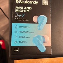 Skullcandy Dime 2 Mini And Mighty 