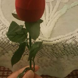 Red Rose 🌹 Ring Case