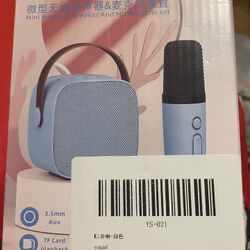 Wireless Speaker And Microphone Set 