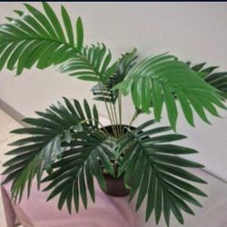 *** REDUCED *** Faux Potted Plant with Mixed Colored Stone @ Lasting Creations