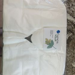 Earthlite Basics Disposable Headrest Covers  Free
