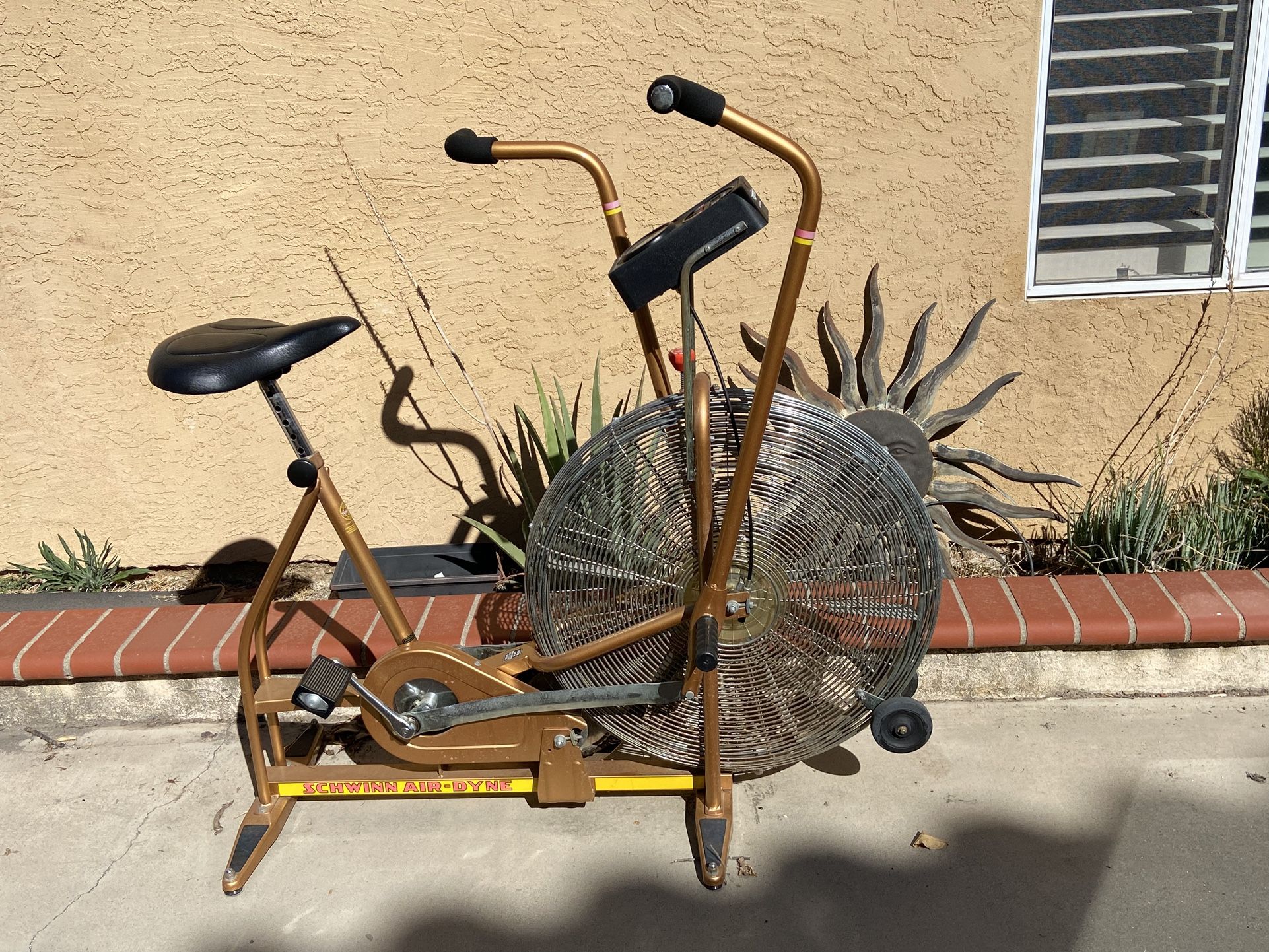 Schwinn Airdyne Bike