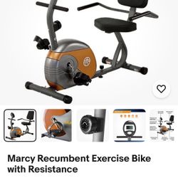  Exercise Bike with Resistance