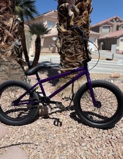 Elite BMX 20” – 2025 – Excellent Condition