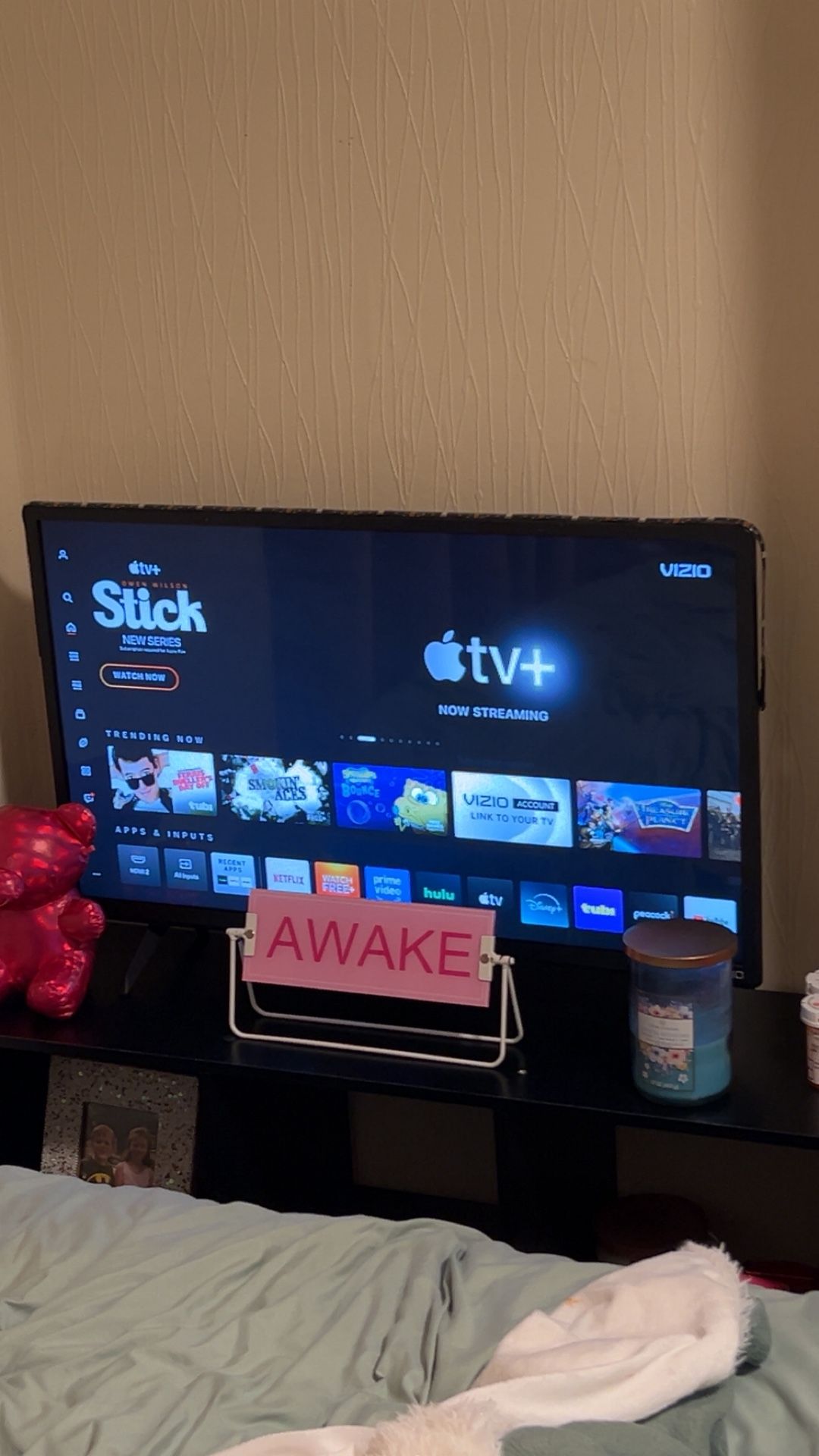 24 Inch Flat Screen Tv