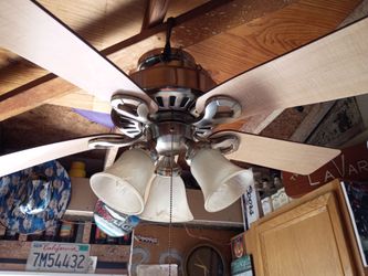 Ceiling Fan