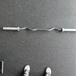 Rogue Fitness Curl Bar 30lb  - Cerakote