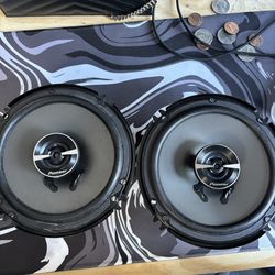6.5 Inch Speakers