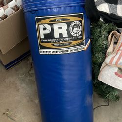 Punching Bag