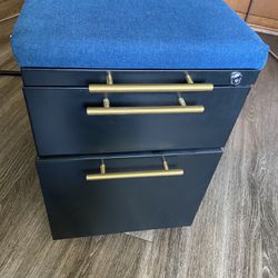 Metal File Cabinet  With Wheels. And Top Seat