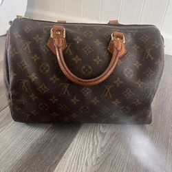 Authentic Louis Vuitton Bag, Lv Speedy, Lv Purse