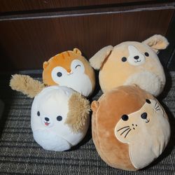 Brown, Small Squishmallow(s)