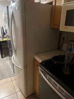 Door Refrigerator with Bottom Freezer