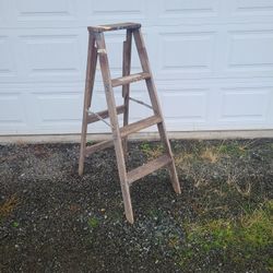 4 Ft Woodnn Ladder