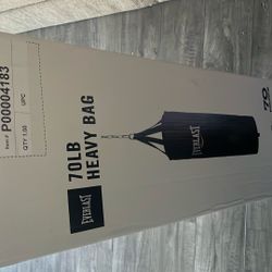 Everlast Punching Bag