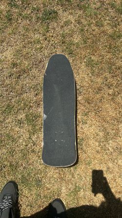 Santa cruz skate board