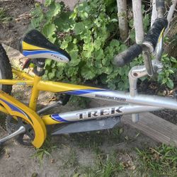 Trek Mountain Train 20 Foldable Tag Along Trailer for kids with hitch