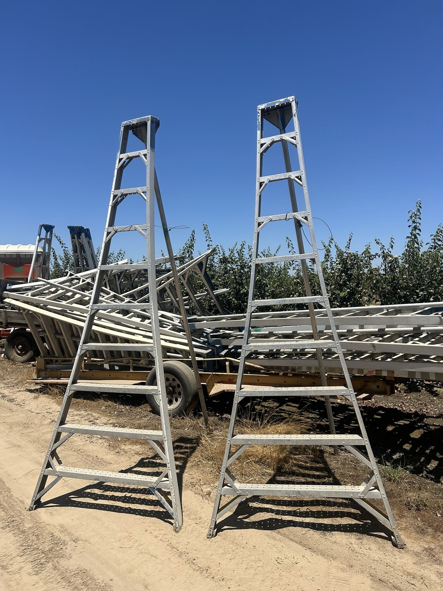 Tree Top Ladders